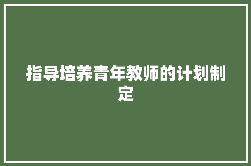 指导培养青年教师的计划制定 报告写作