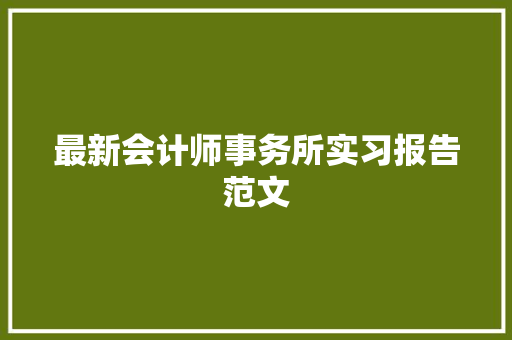 最新会计师事务所实习报告范文 简历模板