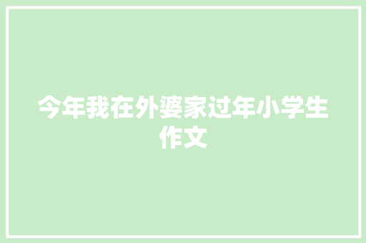 今年我在外婆家过年小学生作文