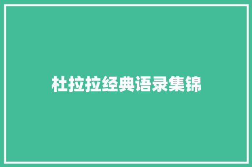 杜拉拉经典语录集锦 词汇积累