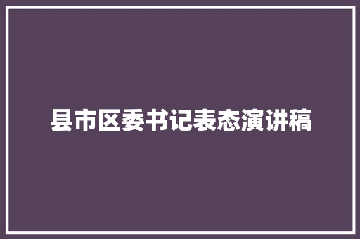 县市区委书记表态演讲稿 简历模板