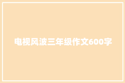 电视风波三年级作文600字 报告写作