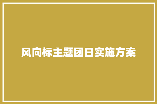 风向标主题团日实施方案 报告写作