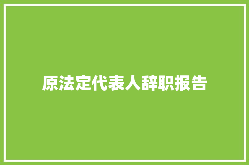 原法定代表人辞职报告 词汇积累