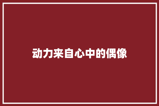 动力来自心中的偶像