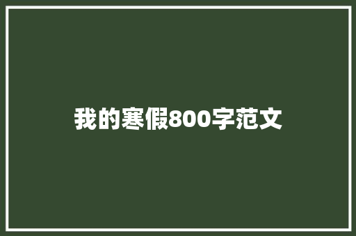 我的寒假800字范文 写作技巧