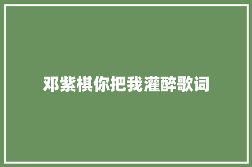 邓紫棋你把我灌醉歌词 范文赏析