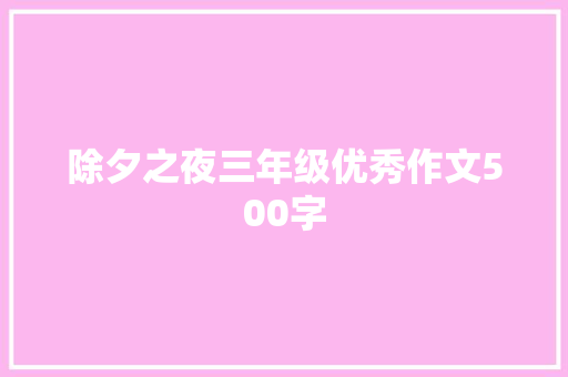 除夕之夜三年级优秀作文500字 商业文案