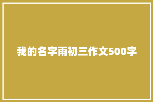 我的名字雨初三作文500字 商业文案