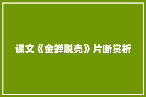 课文《金蝉脱壳》片断赏析 报告写作