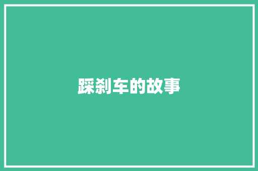 踩刹车的故事 简历模板
