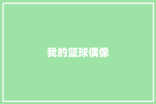 我的篮球偶像 写作素材