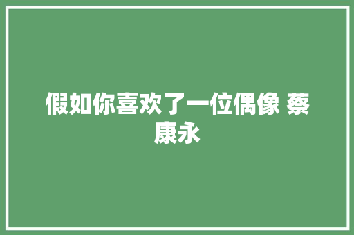 假如你喜欢了一位偶像 蔡康永