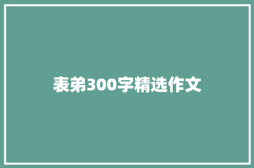 表弟300字精选作文 写作技巧