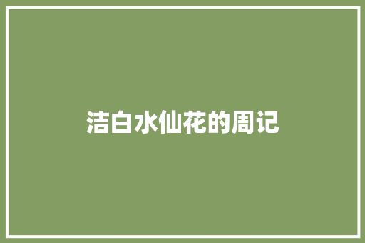 洁白水仙花的周记 写作社区