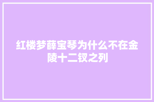 红楼梦薛宝琴为什么不在金陵十二钗之列 简历模板