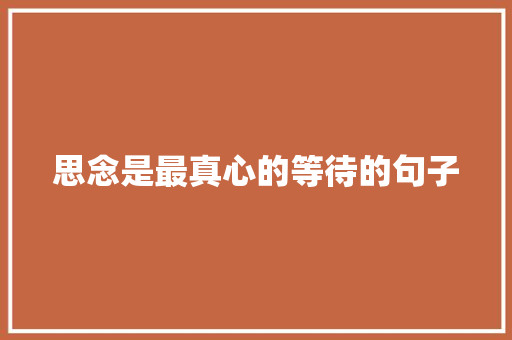 思念是最真心的等待的句子 词汇积累