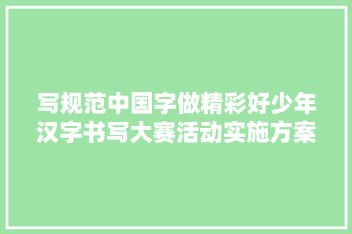 写规范中国字做精彩好少年汉字书写大赛活动实施方案 写作素材