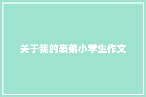 关于我的表弟小学生作文