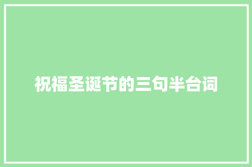 祝福圣诞节的三句半台词 词汇积累