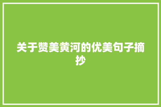 关于赞美黄河的优美句子摘抄 商业文案