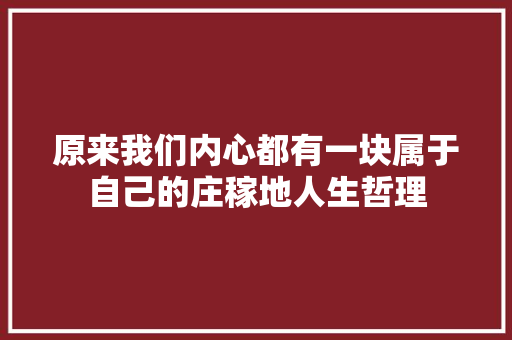 原来我们内心都有一块属于自己的庄稼地人生哲理 简历模板