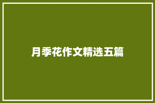 月季花作文精选五篇 商业文案