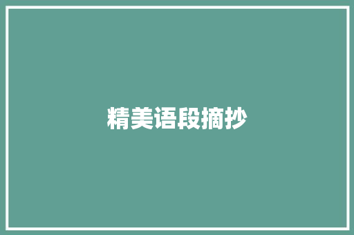 精美语段摘抄 报告写作