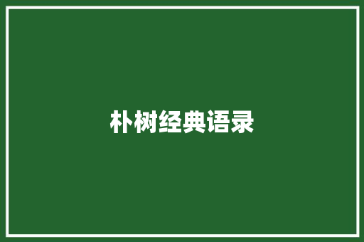 朴树经典语录