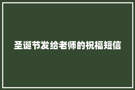 圣诞节发给老师的祝福短信 写作技巧