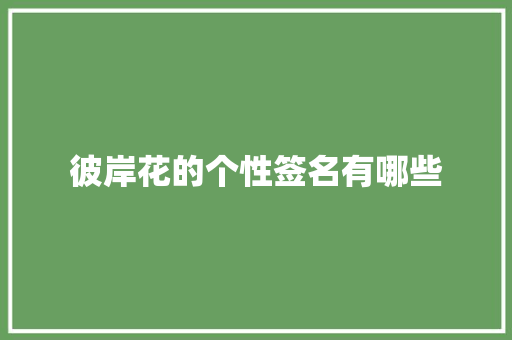 彼岸花的个性签名有哪些 词汇积累