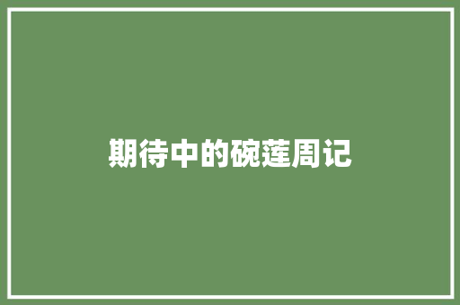 期待中的碗莲周记 报告写作