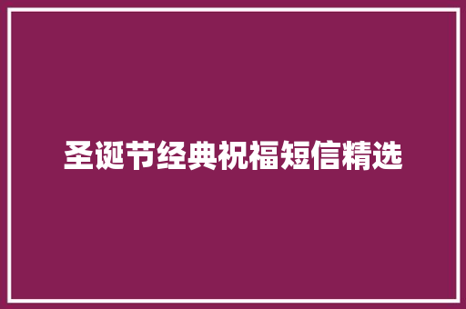 圣诞节经典祝福短信精选 商业文案