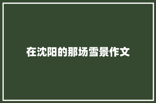 在沈阳的那场雪景作文 写作技巧