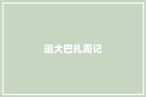 逛大巴扎周记 写作技巧