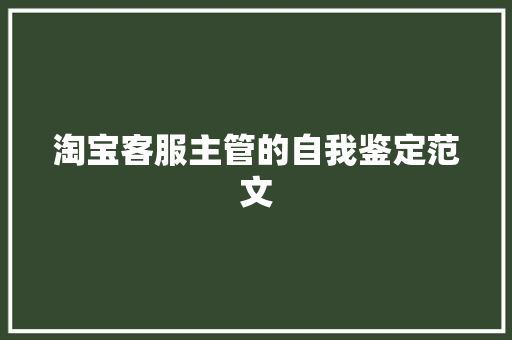 淘宝客服主管的自我鉴定范文 报告写作