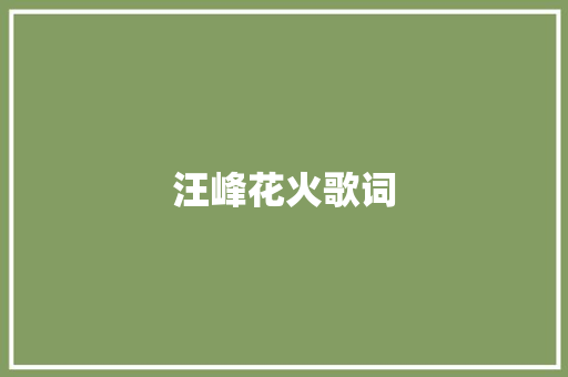 汪峰花火歌词 写作素材
