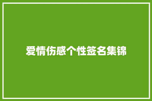 爱情伤感个性签名集锦 词汇积累