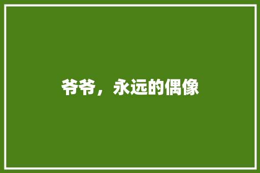 爷爷，永远的偶像 词汇积累