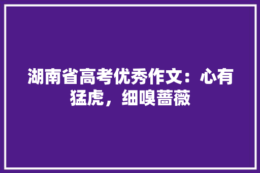 湖南省高考优秀作文：心有猛虎，细嗅蔷薇 简历模板