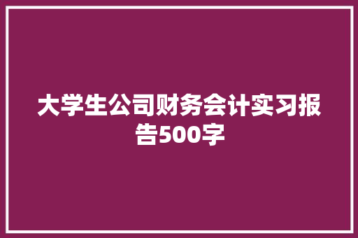 大学生公司财务会计实习报告500字 范文赏析