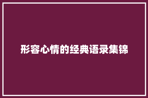 形容心情的经典语录集锦 范文赏析