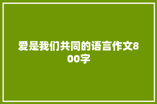 爱是我们共同的语言作文800字 诗歌创作