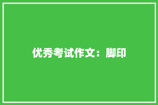 优秀考试作文：脚印 写作素材