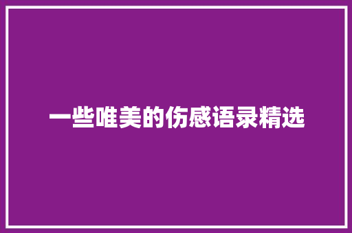 一些唯美的伤感语录精选 商业文案
