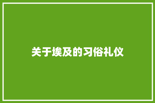 关于埃及的习俗礼仪 商业文案