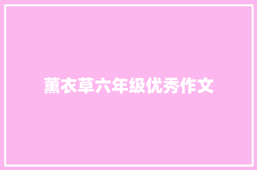 薰衣草六年级优秀作文 范文赏析