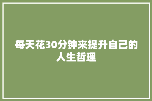 每天花30分钟来提升自己的人生哲理 报告写作
