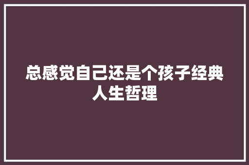 总感觉自己还是个孩子经典人生哲理 报告写作