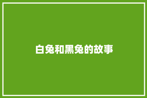 白兔和黑兔的故事 写作技巧